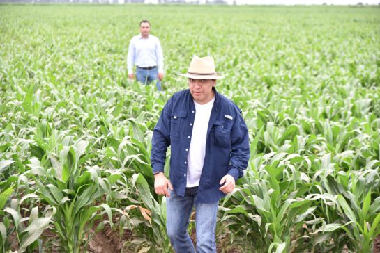 Bayer, Vitala, Maiz sustentable: Revolucionar la producción de maíz duró 30 años de estudios y trabajo Bayer, Vitala, Maiz sustentable: Revolucionar la producción de maíz duró 30 años de estudios y trabajo