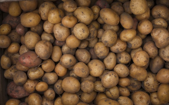 Papas Papas
