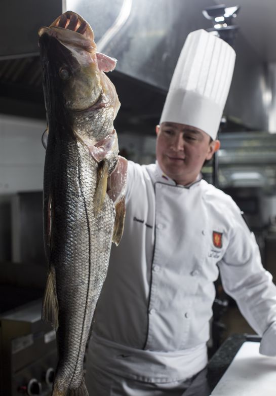 Pescados, alimentos, Unisabana: ¿Sabemos los colombianos preparar pescado? Pescados, alimentos, Unisabana: ¿Sabemos los colombianos preparar pescado?