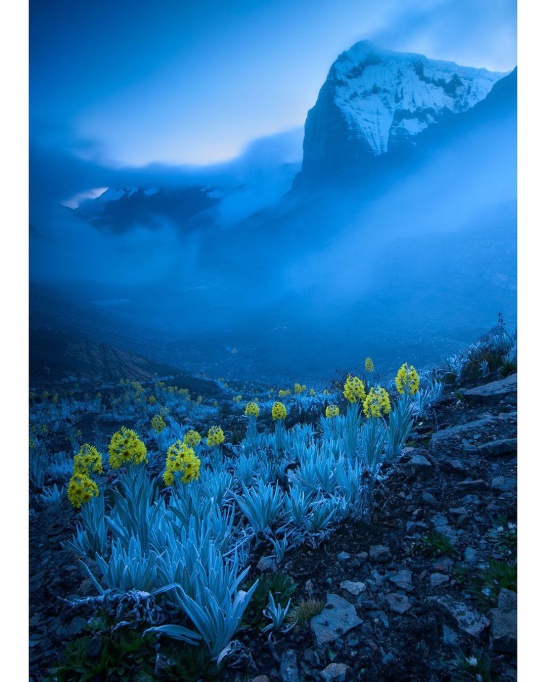 Gabriel Eisenband: Colombiano gana el premio 'Wildlife Photography' Gabriel Eisenband: Colombiano gana el premio 'Wildlife Photography'