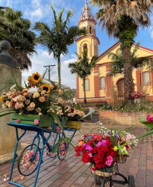 Vélez también se destaca por la hermosura de sus flores. Vélez también se destaca por la hermosura de sus flores.