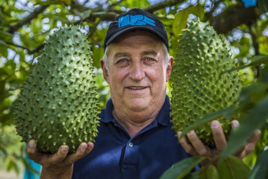 Guanábanas Guanábanas