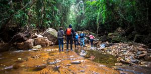 Cascadas de Gachantivá, lugar para conectar con la naturaleza Cascadas de Gachantivá, lugar para conectar con la naturaleza