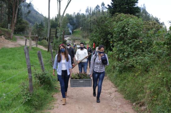 Corpoboyacá, crisis climática: Boyacá reverdece para hacerle frente a la crisis climática Corpoboyacá, crisis climática: Boyacá reverdece para hacerle frente a la crisis climática
