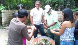 Trabajo en agro urbano Trabajo en agro urbano
