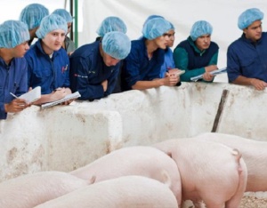 Estudiantes de veterinaria Estudiantes de veterinaria