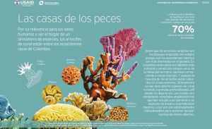 100 imágenes tipo ficha-resumen para descargar, guardar, compartir . 100 imágenes tipo ficha-resumen para descargar, guardar, compartir .