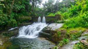 En la zona de balnearios del río Tutunendo se encuentra La Cascada Sal de Frutas. En la zona de balnearios del río Tutunendo se encuentra La Cascada Sal de Frutas.
