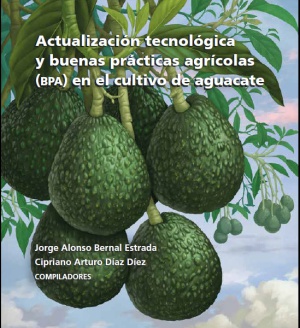 Libro buenas practicas agricolas para aguacate hass Libro buenas practicas agricolas para aguacate hass