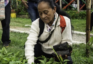 Agro sostenible Agro sostenible
