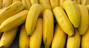 Bananos del Magdalena Bananos del Magdalena