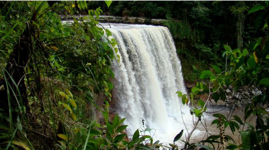 Parque Nacional Natural Tamá. Parque Nacional Natural Tamá.