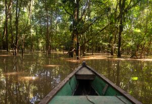 Mocagua . Amazonas Mocagua . Amazonas