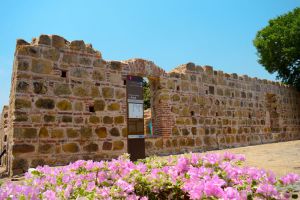 Ruinas en Pore hablan de la historia del municipio. Ruinas en Pore hablan de la historia del municipio.
