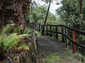 Bogotá es uno de los invitados a la Vitrina Turística ANATO Bogotá es uno de los invitados a la Vitrina Turística ANATO