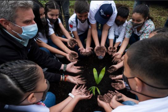 Niños y niñas participan sembrando árboles desde Calarcá Vivero Niños y niñas participan sembrando árboles desde Calarcá Vivero