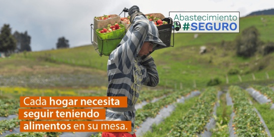 Déjanos pasar: Iniciativa que busca abastecimiento seguro en protestas Déjanos pasar: Iniciativa que busca abastecimiento seguro en protestas