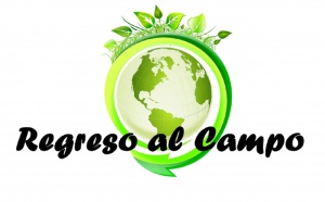 Aceleradora de negocios Aceleradora de negocios