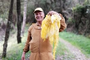 "Fue amor a primera vista con las abejas" Jorge Tello "Fue amor a primera vista con las abejas" Jorge Tello