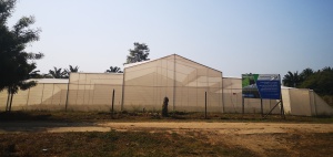 Infraestructura para Proyecto de Horticultura Protegida Infraestructura para Proyecto de Horticultura Protegida