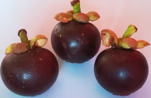 Mangostinos Mangostinos
