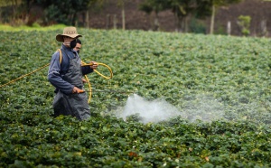 Trabajo en el campo Trabajo en el campo