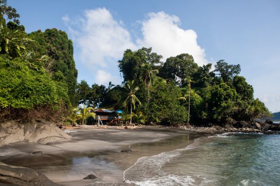 El Parque Nacional Natural Utría se encuentra abierto para realizar actividades ecoturísticas en modo pasadía. El Parque Nacional Natural Utría se encuentra abierto para realizar actividades ecoturísticas en modo pasadía.
