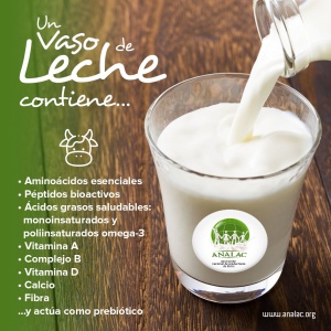 Bondades nutricionales de la leche Bondades nutricionales de la leche