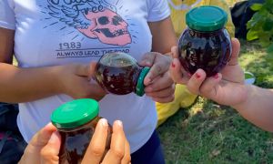 Productos procesados por las heroínas de la apicultura en Morroa, Sucre. Productos procesados por las heroínas de la apicultura en Morroa, Sucre.