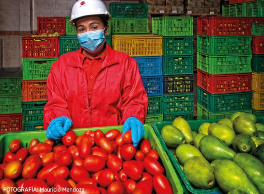Banco de Alimentos de Bogotá en sus 20 años. Banco de Alimentos de Bogotá en sus 20 años.
