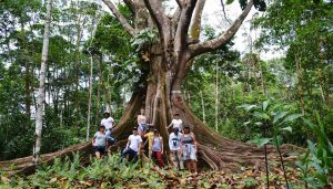 El turismo en putumayo El turismo en putumayo
