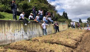 Huerta escolar en Ciudad Bolívar Huerta escolar en Ciudad Bolívar