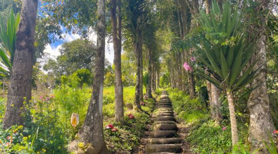 Ruta Valle de sibundoy sagrado. Putumayo. Ruta Valle de sibundoy sagrado. Putumayo.