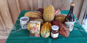 Productos de cacao procesados en Orito Productos de cacao procesados en Orito