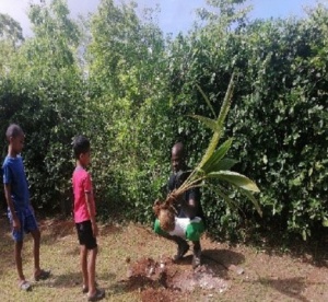 Agricultura en San Andrés Agricultura en San Andrés
