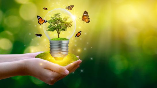 "Define tu futuro": Pensar en acciones sostenibles para salvar la vida silvestre de nuestro planeta. "Define tu futuro": Pensar en acciones sostenibles para salvar la vida silvestre de nuestro planeta.