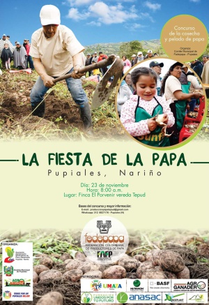 Fiesta de la papa Fiesta de la papa