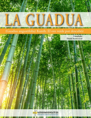 Portada Portada