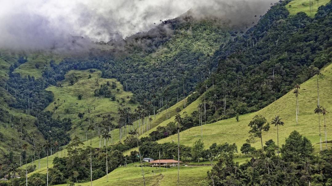 En Familia... hablemos de bosques