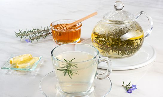 Las plantas medicinas una gran alternativa natural para sentirnos mejor Las plantas medicinas una gran alternativa natural para sentirnos mejor