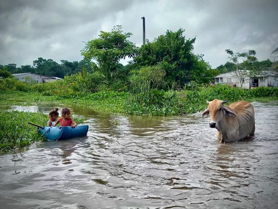 Ciénaga Grande Ciénaga Grande
