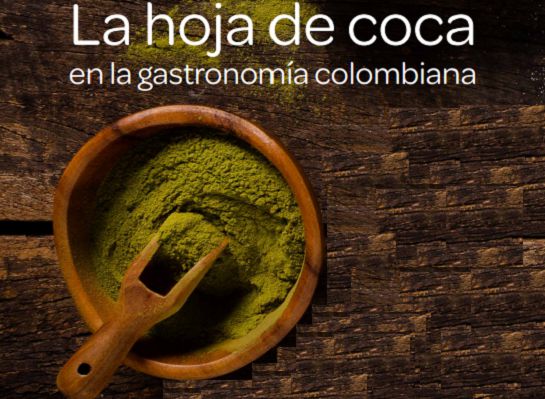 Revalorización del significado de la planta de coca en el país y en el mundo. Revalorización del significado de la planta de coca en el país y en el mundo.