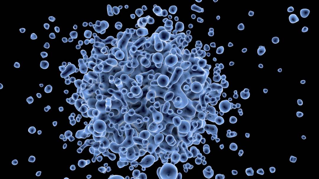 La hepatitis: causas, consecuencias y cómo se puede prevenir