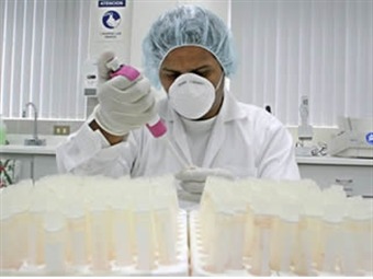 Gripe A H1N1: más de 10.000 casos, con 80 muertos