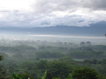 Heladas ya afectan el 30 por ciento de la producción de flores en Colombia