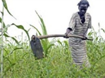 Firmatón mundial de la FAO contra el hambre