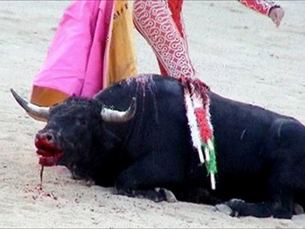 Corporación Taurina no aceptó eliminar la muerte del toro en el espectáculo: Gustavo Petro
