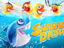 Shark Dash lucha por la protección de los tiburones