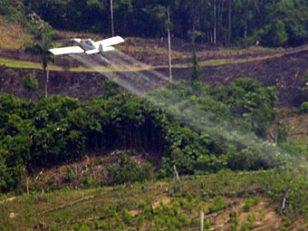 Reactivan fumigación aérea de cultivos ilícitos en el norte del Cauca