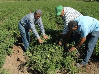Santos reitera que recuperará para los campesinos las tierras robadas por violentos